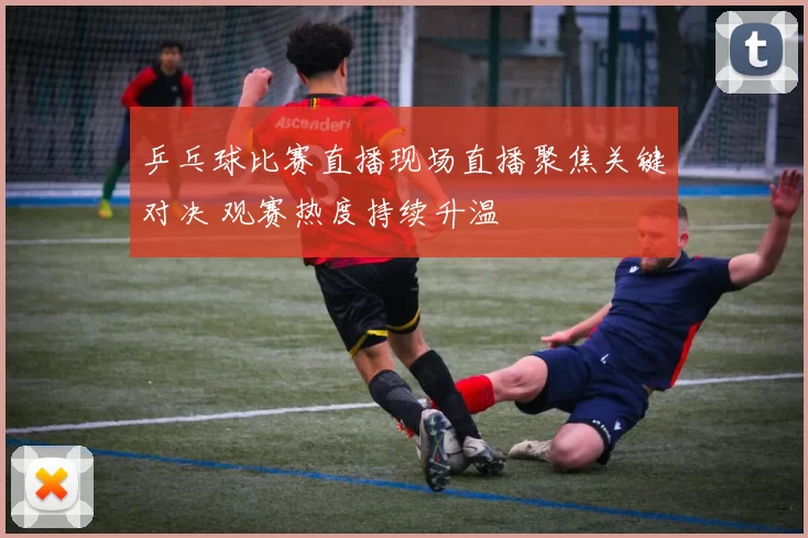 乒乓球比赛直播现场直播聚焦关键对决 观赛热度持续升温