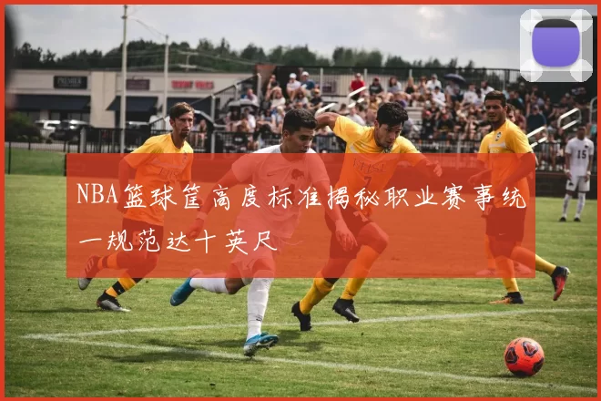 NBA篮球筐高度标准揭秘职业赛事统一规范达十英尺