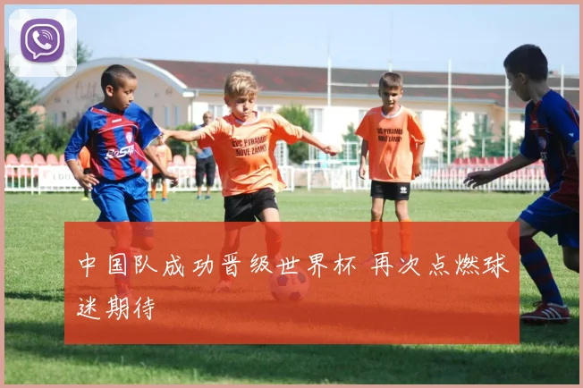 中国队成功晋级世界杯 再次点燃球迷期待