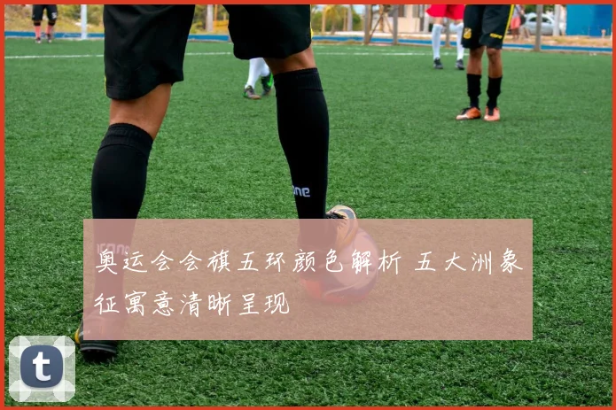 奥运会会旗五环颜色解析 五大洲象征寓意清晰呈现