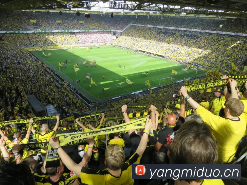 九游娱乐(NINEGAME)官方网站 - 九游成就未来平台生态图